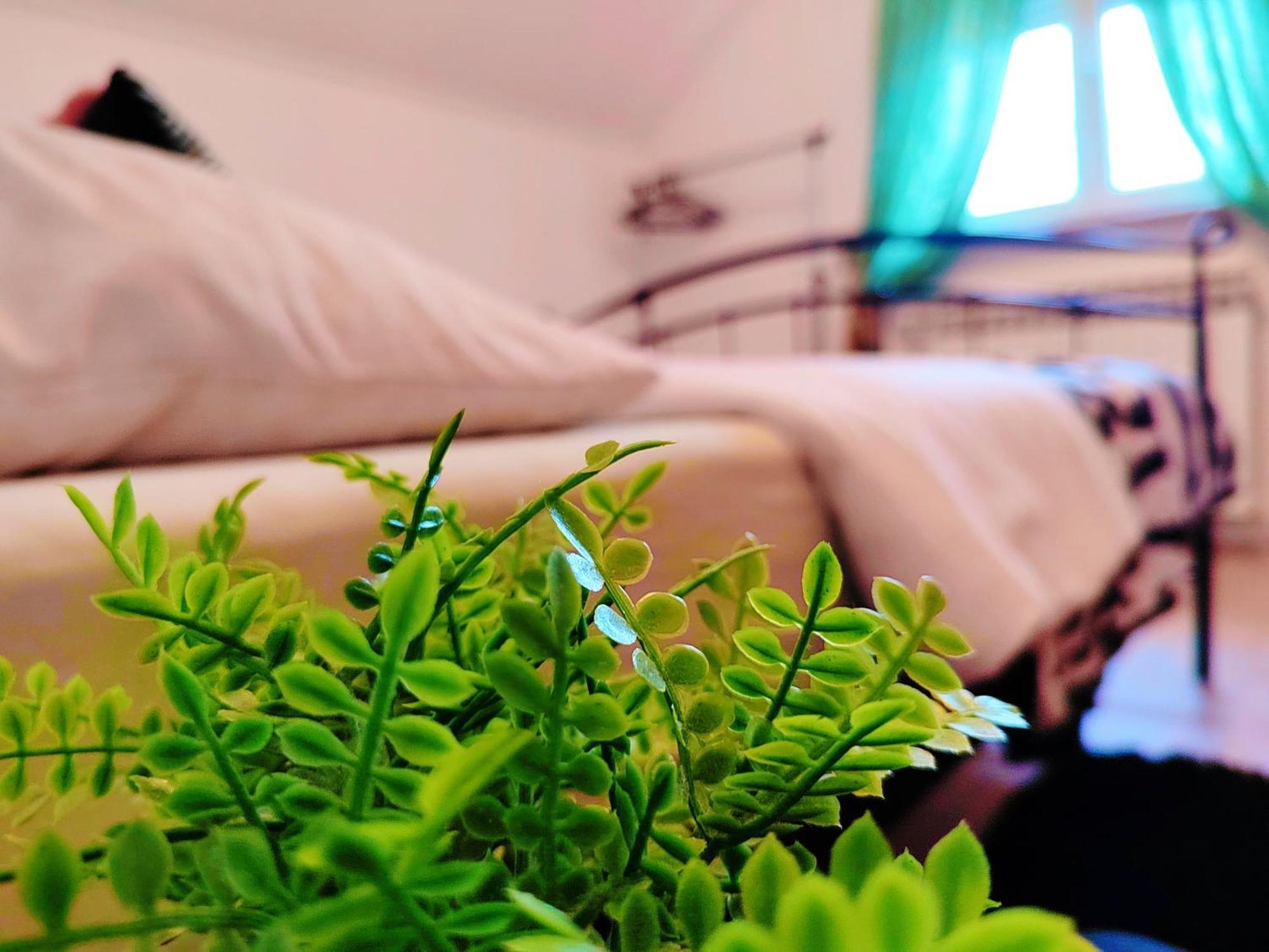 Zagreb, Apartman Jezz エクステリア 写真